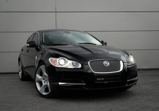 jaguar